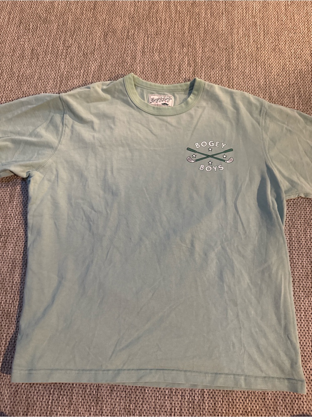 Men's Light Sage Graphic Tee